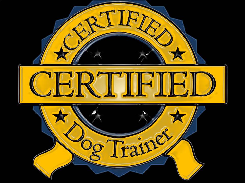 Dog Training Prices